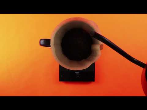 Felicita Incline Coffee Scales