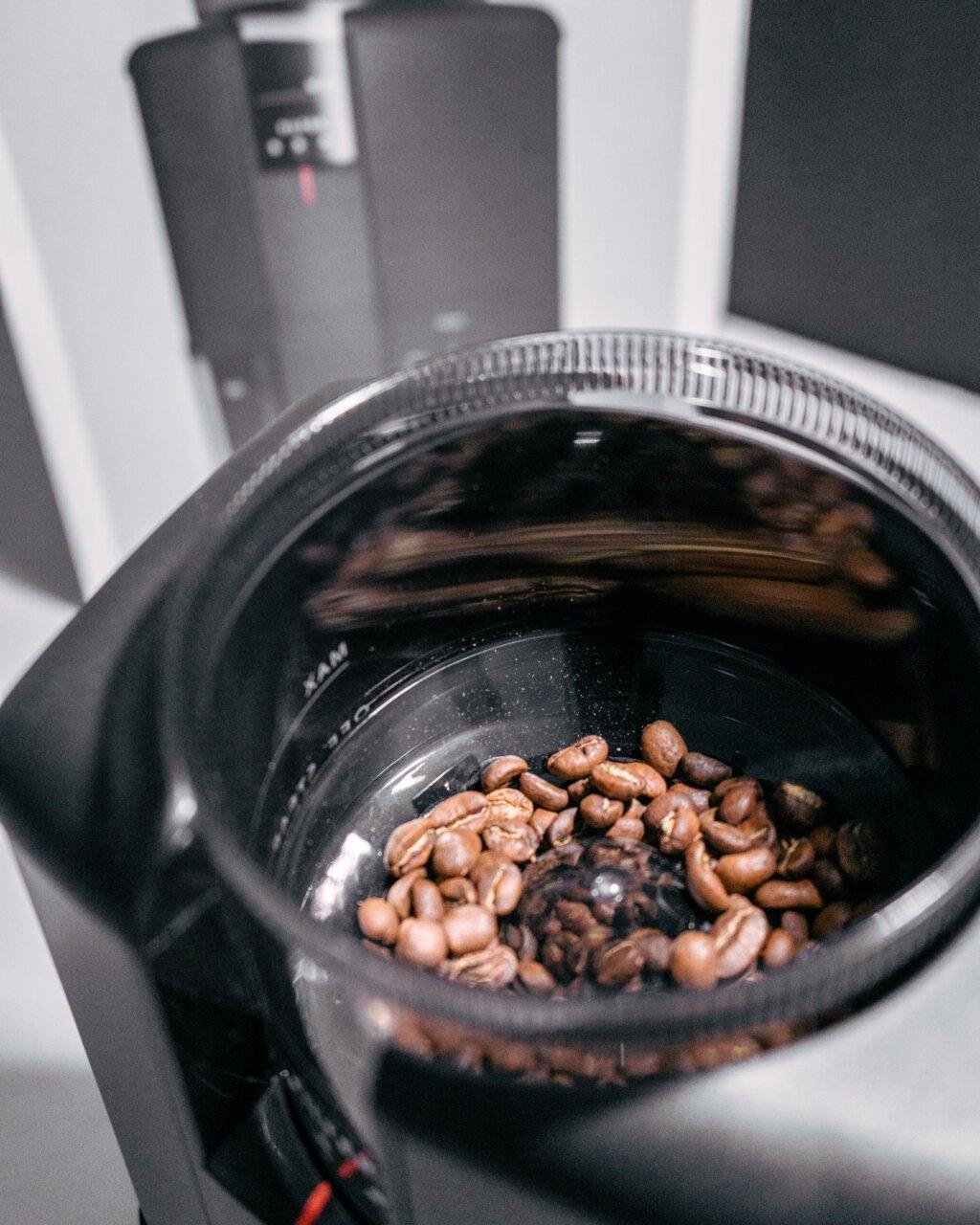 Wilfa Svart Precision Burr Coffee Grinder (Black)